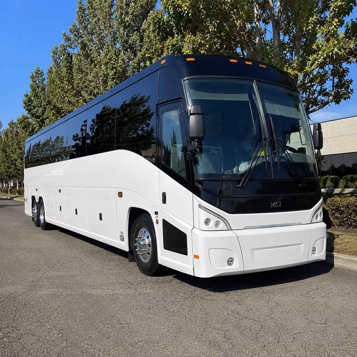 bloomington 50 passenger charter bus